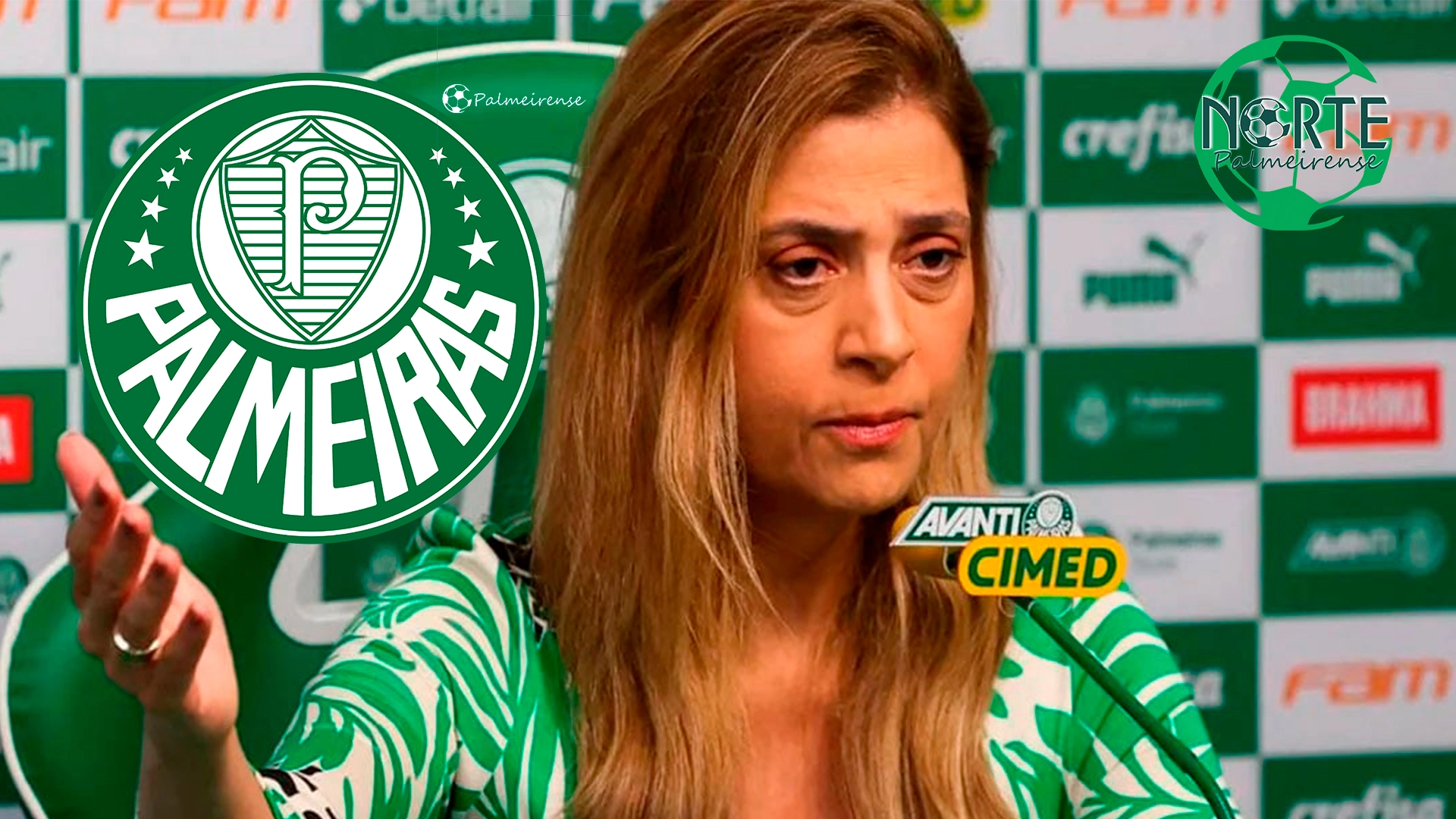 https://nortepalmeirense.com.br/